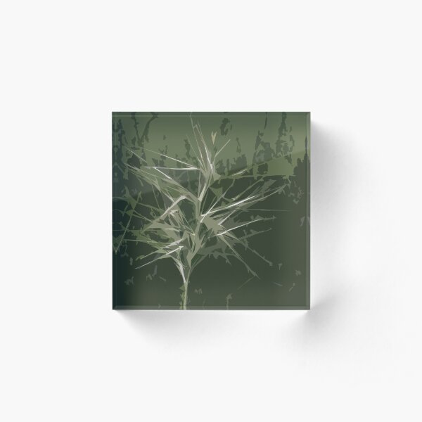 Sway Acrylic Block