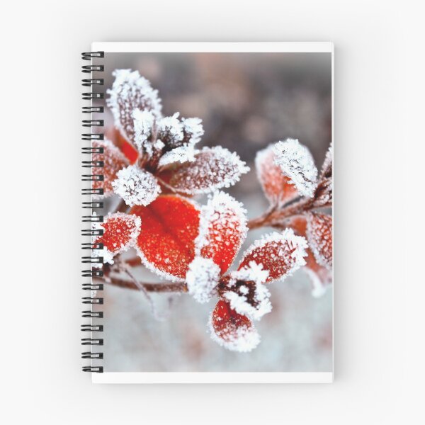 Item preview, Winter Garden  designed and sold by Selina Ryles.