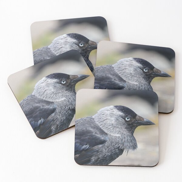 Item preview, Retrato de grajilla designed and sold by GreyFeatherPhot.