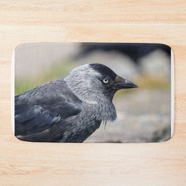 Item preview, Jackdaw portrait designed and sold by GreyFeatherPhot.