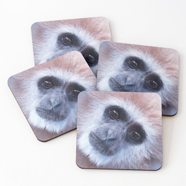 Item preview, Inquisitive  designed and sold by Selina Ryles.