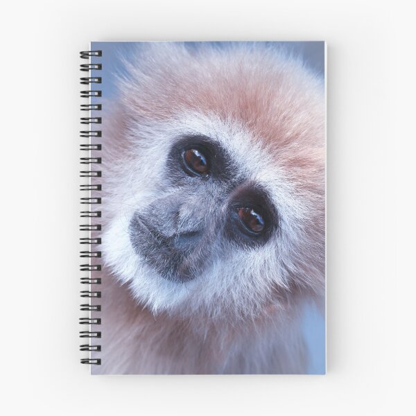 Item preview, Inquisitive  designed and sold by Selina Ryles.