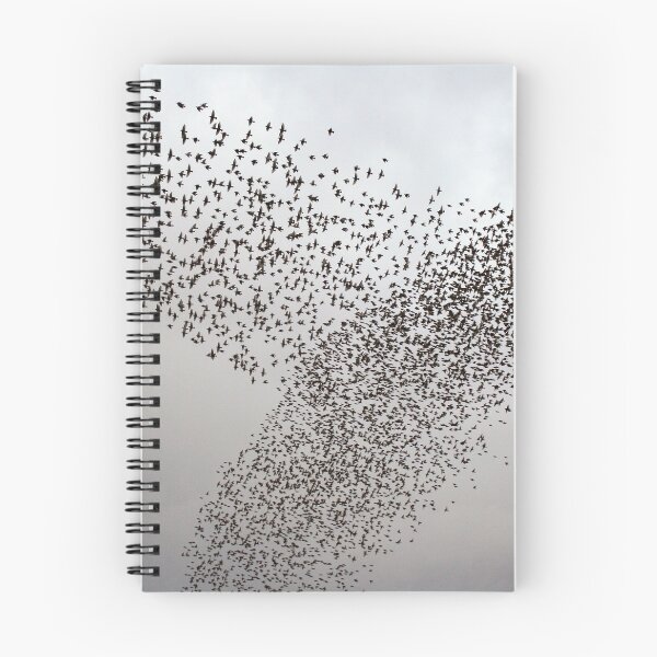 Item preview, Murmurations I designed and sold by GreyFeatherPhot.