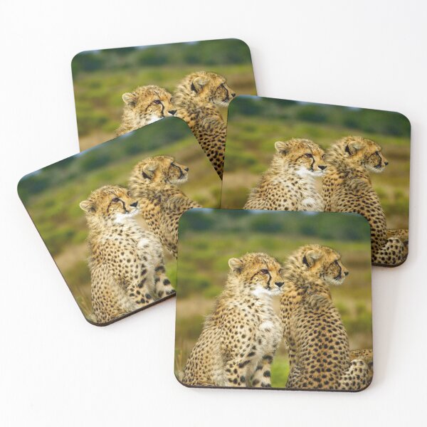 Item preview, Cheetahs designed and sold by Strawflower Oasis.