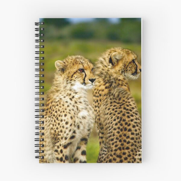 Item preview, Cheetahs designed and sold by Strawflower Oasis.