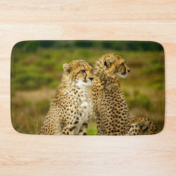 Item preview, Cheetahs designed and sold by Strawflower Oasis.