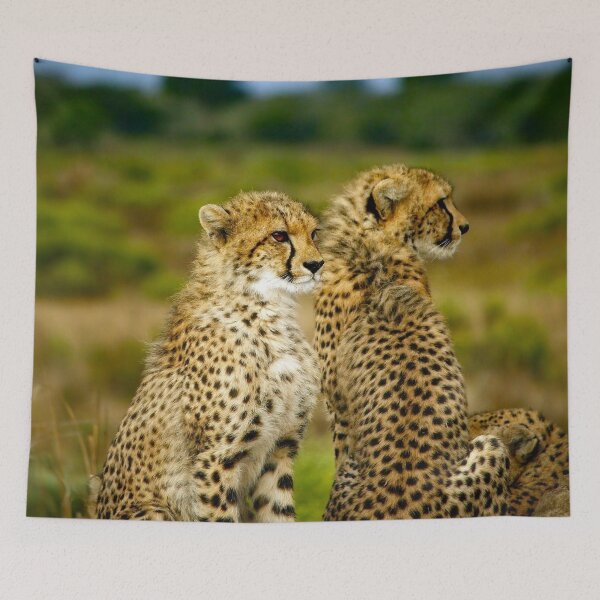 Item preview, Cheetahs designed and sold by Strawflower Oasis.