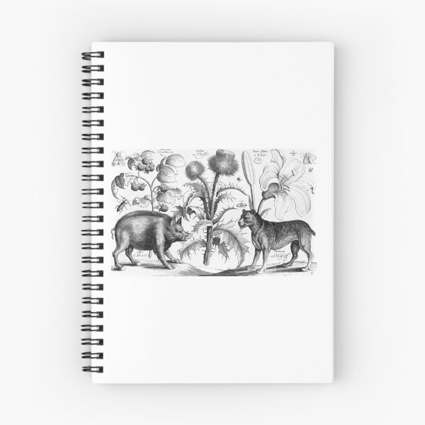 Item preview, Boar, Mastiff, Thistle, Raspberries, Lily, Moths and Insects - Wenceslaus Hollar  c1660 designed and sold by CrankyOldDude.