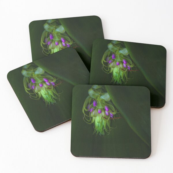 Item preview, Find wonder designed and sold by alan shapiro.