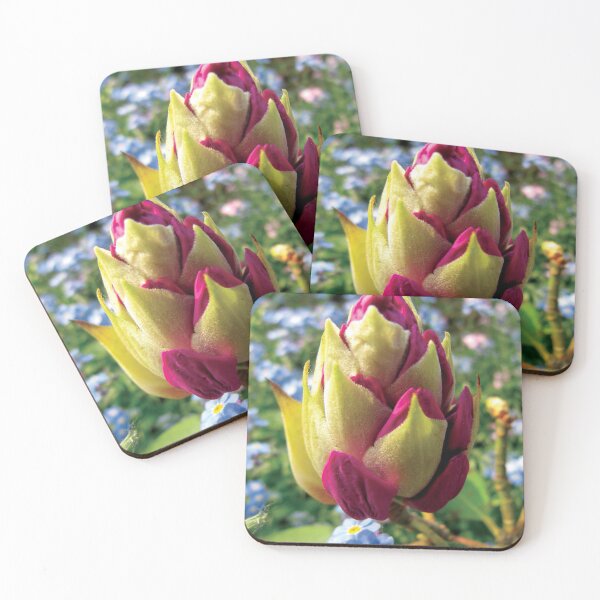 Item preview, Flower Bulb designed and sold by Tjaša Rome.