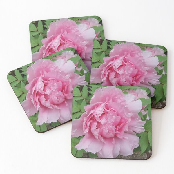 Item preview, Pink Tree Peony Spring designed and sold by Betty Mackey.