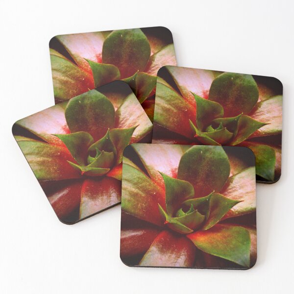 Item preview, Sempervivum -  Houseleek designed and sold by branaghbel.