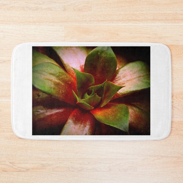 Item preview, Sempervivum -  Houseleek designed and sold by BranislavaBT.