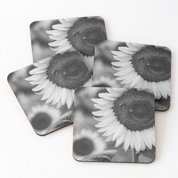 Artikelvorschau, Schwarzweiss-Sonnenblume entworfen und verkauft von Gabriele Merlino.