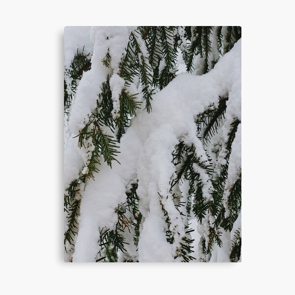 Item preview, Snowy Trees! designed and sold by annikat31.