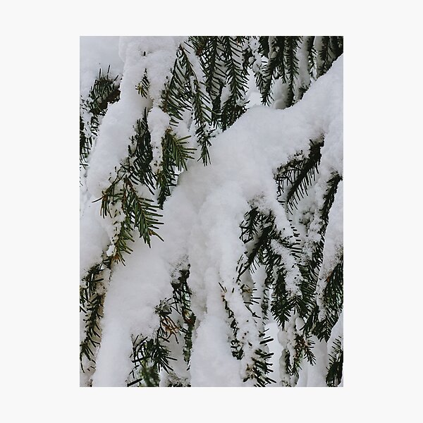 Item preview, Snowy Trees! designed and sold by annikat31.