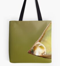 Love Devotion Surrender Tote Bag