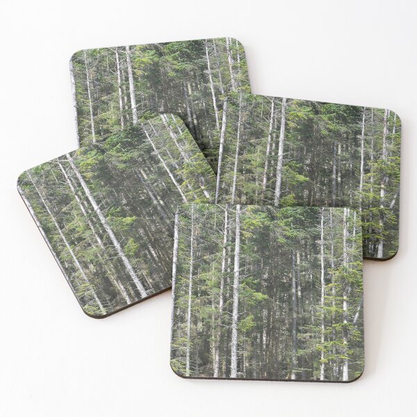 Item preview, The edge of a forest near Elgol, Skye designed and sold by Richard Flint.