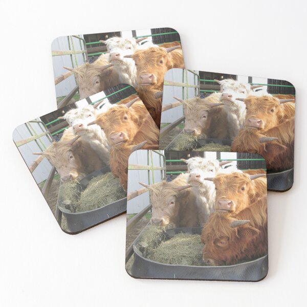 Item preview, Gabriel, Rocky, Anthony, and Vincent  01 May 2015 designed and sold by JobieMom.