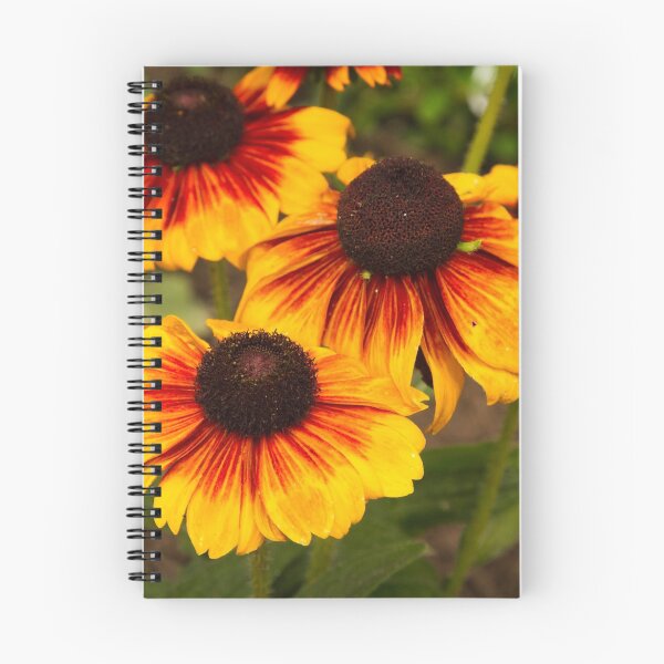 Item preview, Helianthus designed and sold by Thaddeus Zajdowicz.