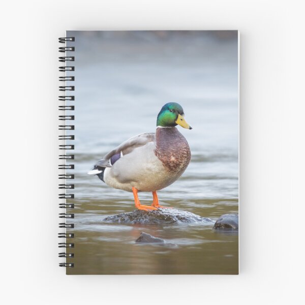 Item preview, Mallard designed and sold by Alec Stewart.