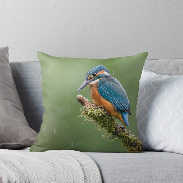 Item preview, Kingfisher in the Rain designed and sold by Alec Stewart.