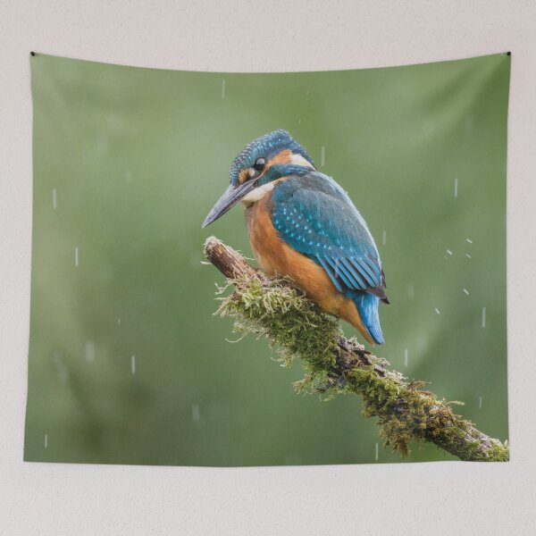 Item preview, Kingfisher in the Rain designed and sold by Alec Stewart.
