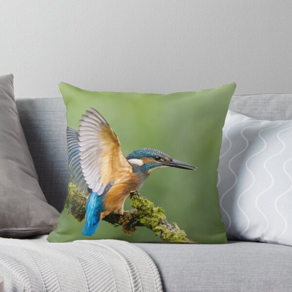 Item preview, Juvenile Kingfisher designed and sold by Alec Stewart.