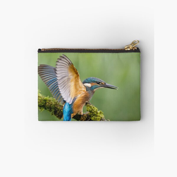 Item preview, Juvenile Kingfisher designed and sold by Alec Stewart.