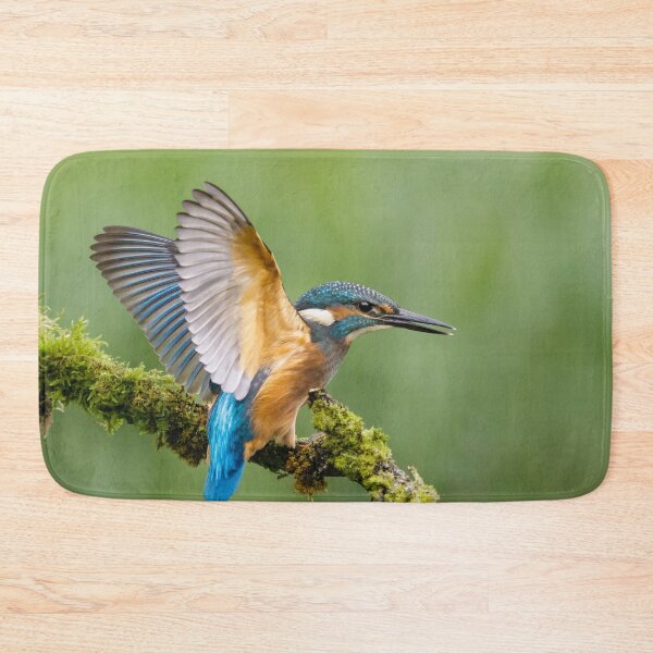 Item preview, Juvenile Kingfisher designed and sold by Alec Stewart.