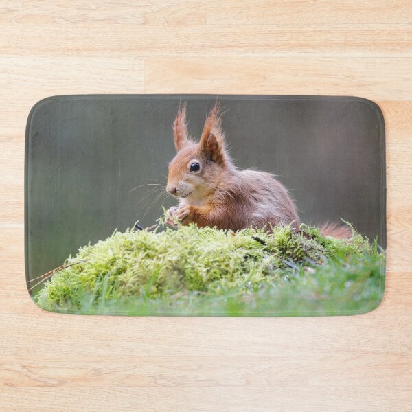 Item preview, Red Squirrel Portrait designed and sold by Alec Stewart.