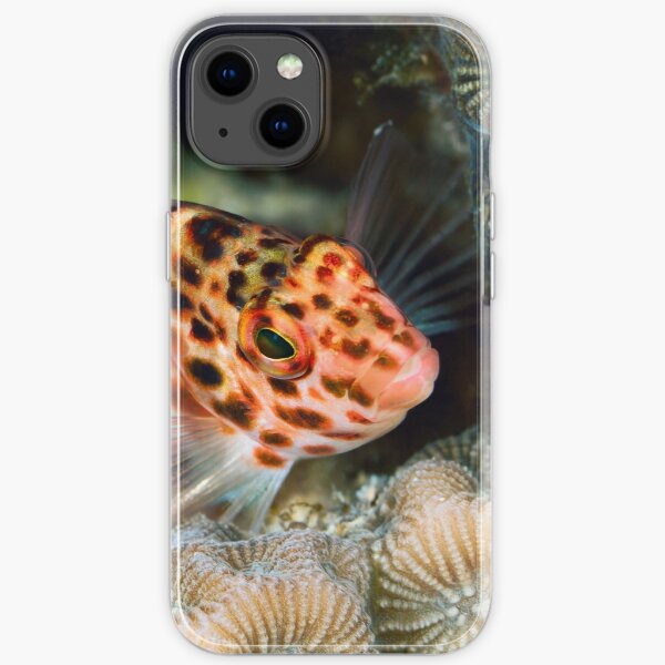 Hawkfish portrait iPhone Soft Case
