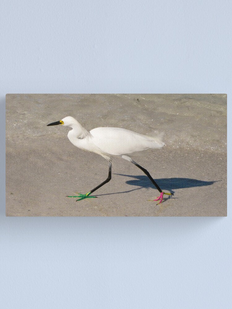 Alternate view of Snowy Egret - Red Green Morph Canvas Print