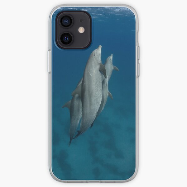 Dolphins in a pod iPhone Soft Case
