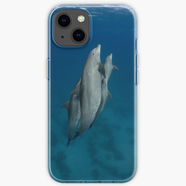Dolphins in a pod iPhone Soft Case