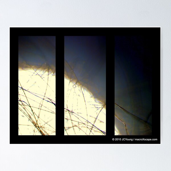 Item preview, Moon Rise over the Window designed and sold by MacroXscape.