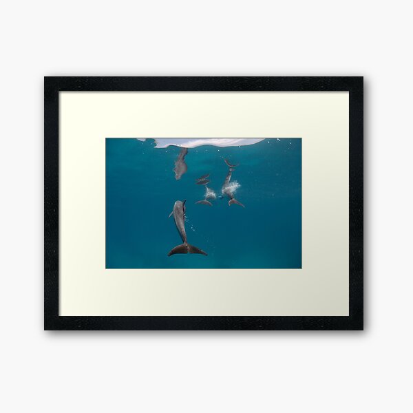 Say good-bye! Framed Art Print