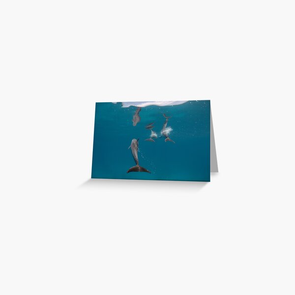 Say good-bye! Greeting Card