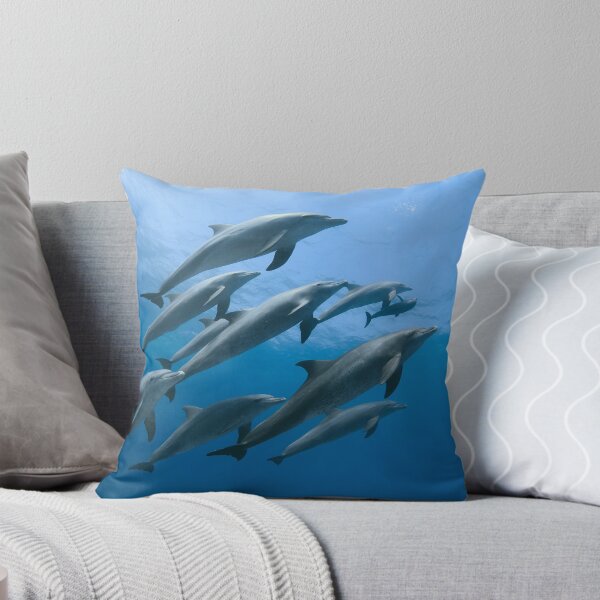 Item preview, Asleep designed and sold by Natalia Pryanishnikova.