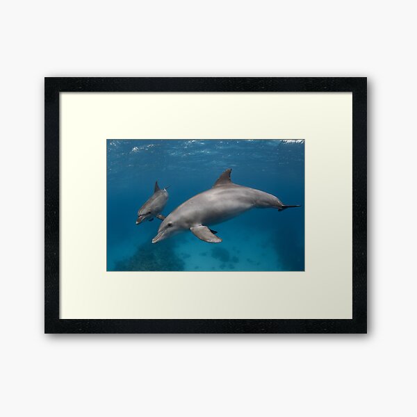 Wildlife geometry Framed Art Print
