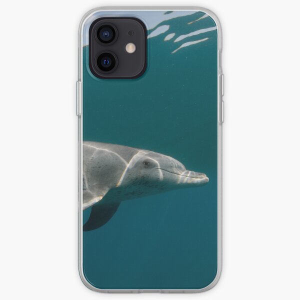 Eye to eye with dolphin iPhone Soft Case