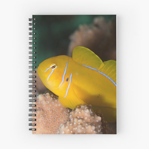 Item preview, Golden fish designed and sold by Natalia Pryanishnikova.