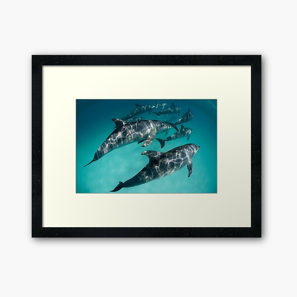 Big Family Framed Art Print