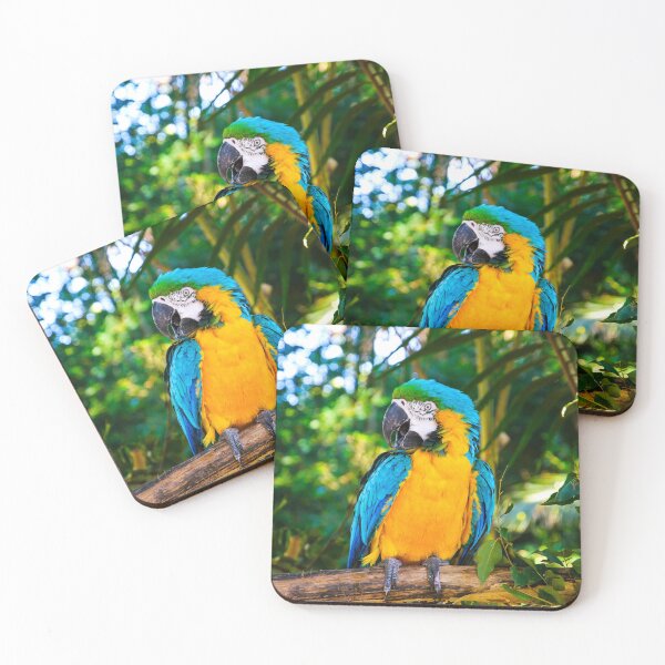 Item preview, Parrot designed and sold by Division.