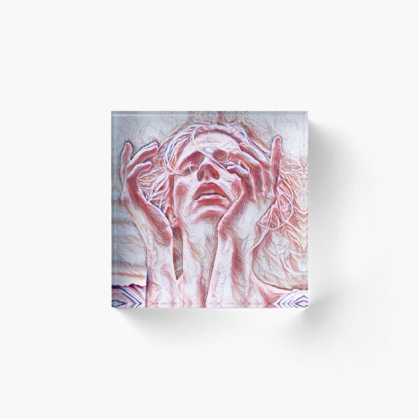 Save the OA - sketch Acrylic Block