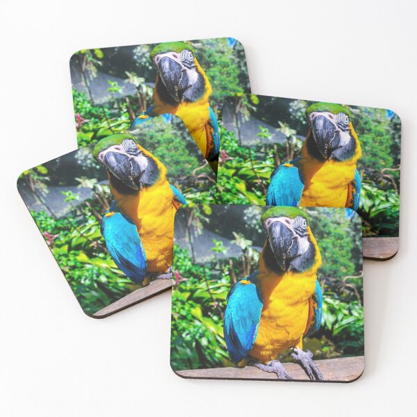 Item preview, Parrot designed and sold by Division.