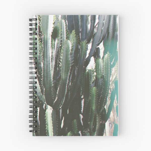 Item preview, Cacti designed and sold by Cassia Beck.