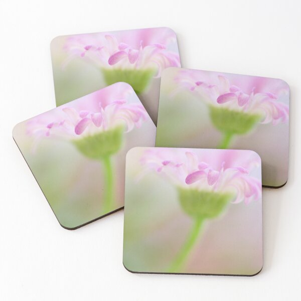.blush. Coasters (Set of 4)