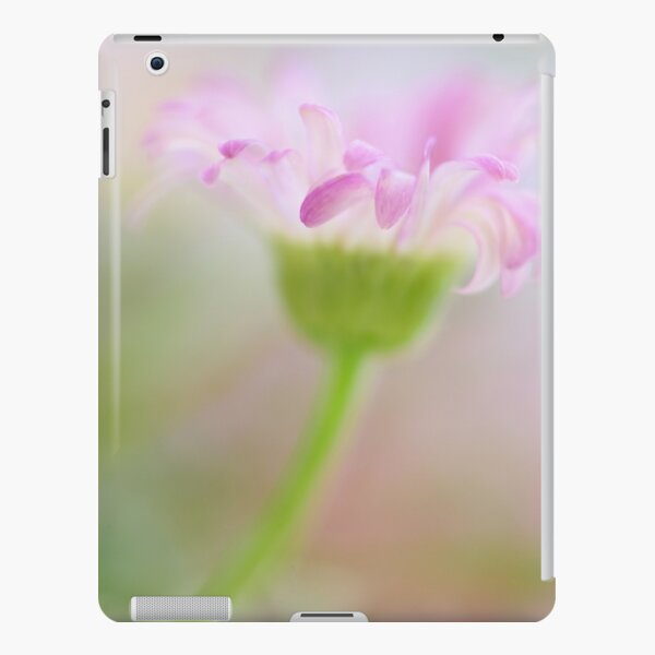 .blush. iPad Snap Case