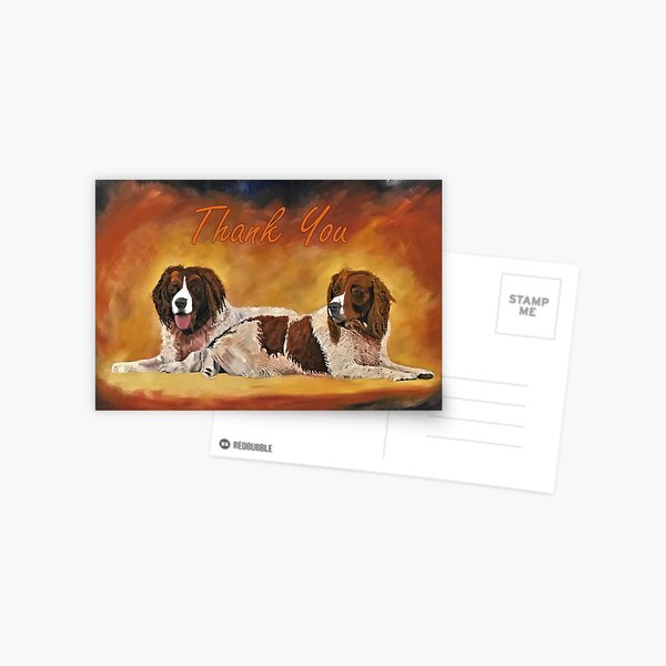 Spaniel Friends Thank You Card Postcard